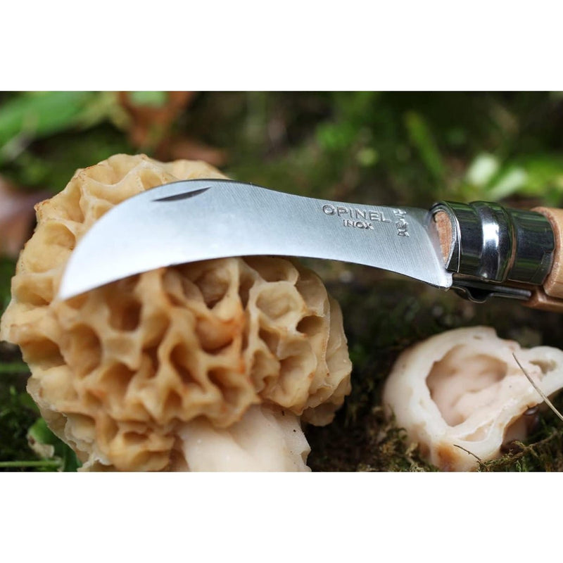 Opinile N ° 08 Ctello da tasca da funghi in acciaio inossidabile Hawkbill Beech Wood Hand